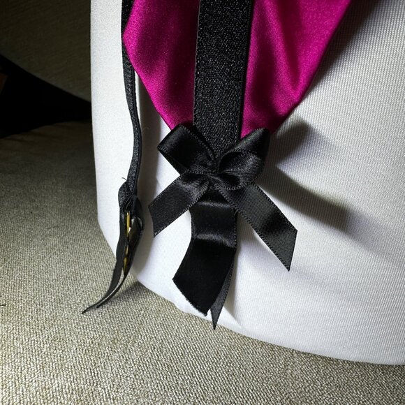 Bordelle Garter Belt Bright/Deep Fuchsia Pink, Size Small - Picture 13 of 15